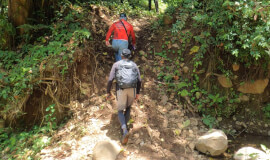 Monteverde Extreme Hike